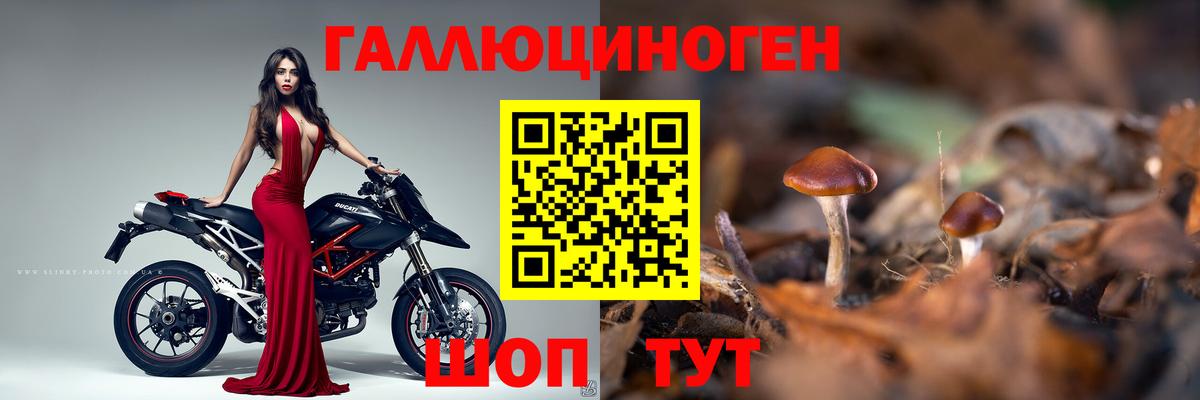 Псилоцибиновые грибы мухоморы Тихорецк